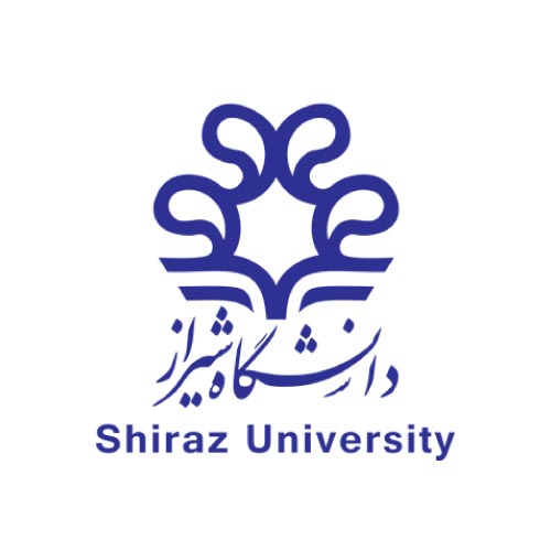 نمونه کار دیجیتال مارکتینگ در شیراز